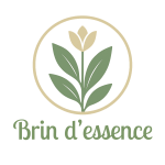 logo_v2